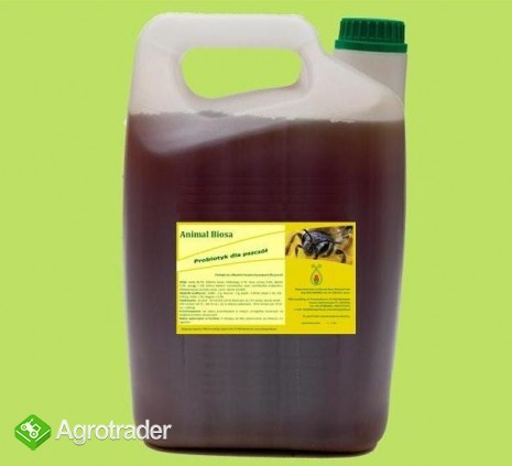 Probiotyk dla pszczół - Animal Biosa