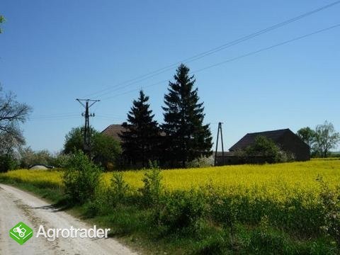 Grunt rolny 13,5 ha+ bud.gospodarcze,gm.Damasławek - zdjęcie 2