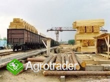 Ukraina.Drewno opalowe,15 zl/m3 + zrzyny,1 zl/m3 - zdjęcie 3