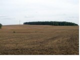 59 ha grunty orne w jednym kawalku Dolnośląskie