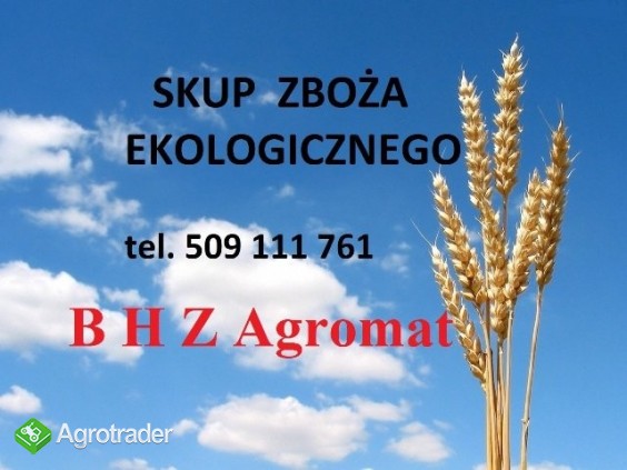 B H Z Agromat kupi zboża ekologiczne.