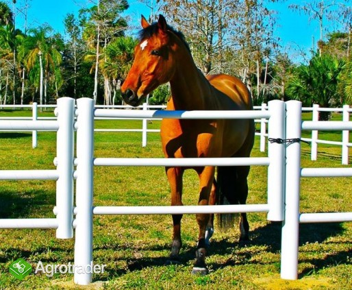 Equisafe - ogrodzenia elektryczne dla koni, pastuch, HDPE - zdjęcie 3