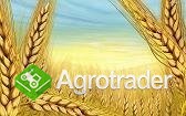 Gospodarstwo rolne sprzeda: pszenicę, pszenżyto