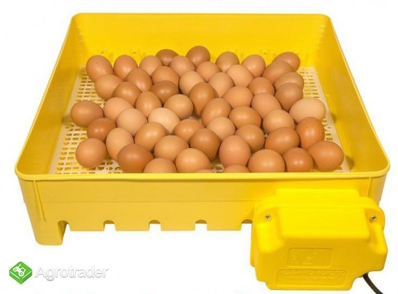 Inkubator do jaj automatyczny klujnik wylęgarka, wysyłka: CAŁA POLSKA - zdjęcie 1