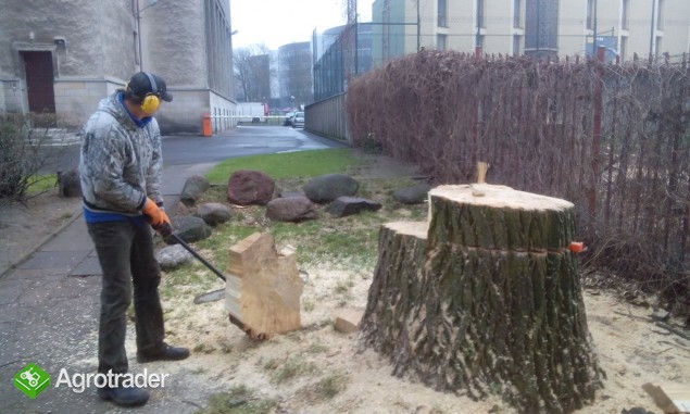 Wycinka drzew, wyburzanie budynków, przygotowanie terenu pod budowę Fv - zdjęcie 3