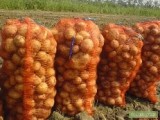  Ukraina.Warzywa,ziemniaki 0,25 zl/kg.Grunty rolne 150 zl/ha.Oferujemy