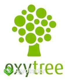 OXYTREE -  najlepsza odmiana drzew szybko rosnących