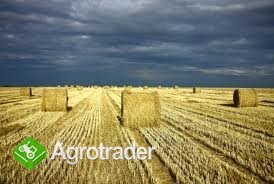 SPRZEDAM SŁOMĘ I SIANO 2012!!!