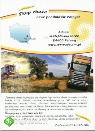 kupię pszenżyto, owies