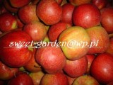 Jabłka !!!