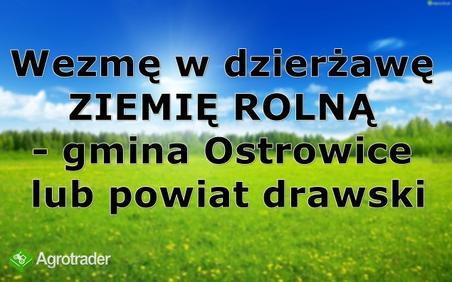 Wezmę w dzierżawę ziemię rolną - powiat drawski