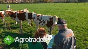 Wsparcie dla rolnictwa