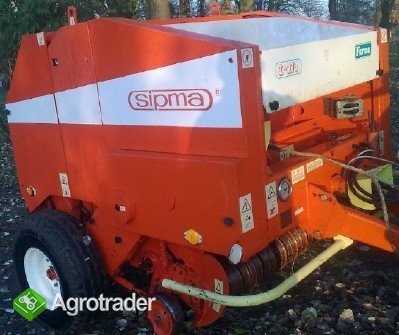 Sprzedam prase Z-279