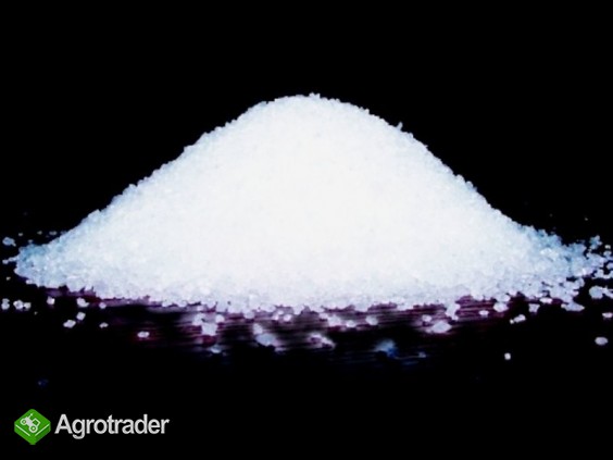 Cukier ICUMSA 45 - 784,5 EUR