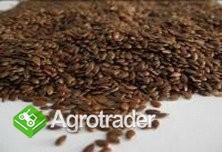 Cereals from Ukraine - zdjęcie 2