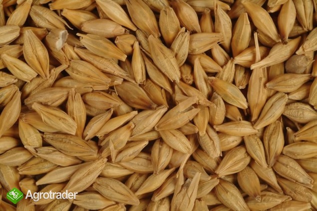 Cereals from Ukraine